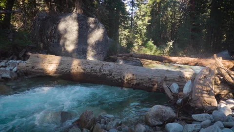 A Forest River Flows Under A Log Stock Footage 251304060