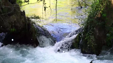 Forest River with Flying Particles Fantasy Nature Stock Footage 325331825