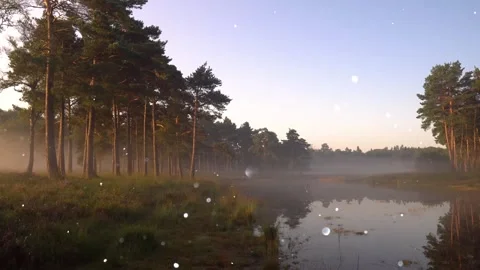 Forest River with Flying Particles Fantasy Nature Stock Footage 325331933