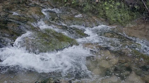 Forest river with foamy water close-up shot Vidéo 341831104