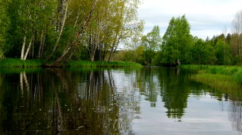 Forest river Stock Footage 293483