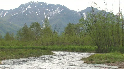 The forest river. Stockbeeldmateriaal 708516