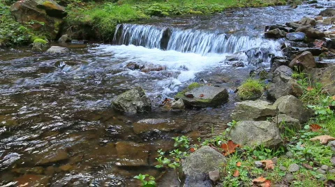 Forest river Stock Footage 865280