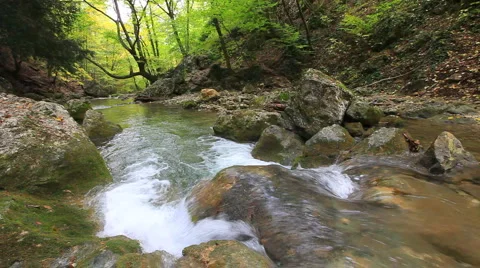 Forest river Stock Footage 883480