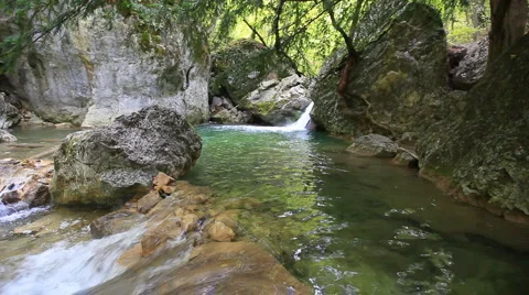 Forest river Stock Footage 897625