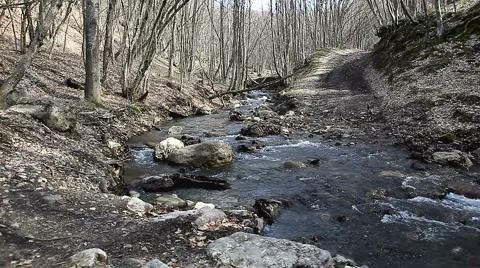 Forest River Stock Footage 1012970