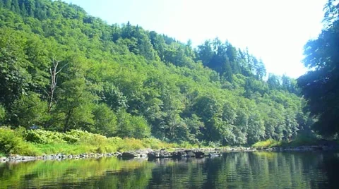 Forest River Stock Footage 10888419