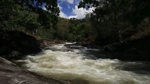 Forest River Видео 18010077