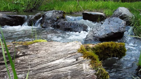 Forest River Video stock 39451976