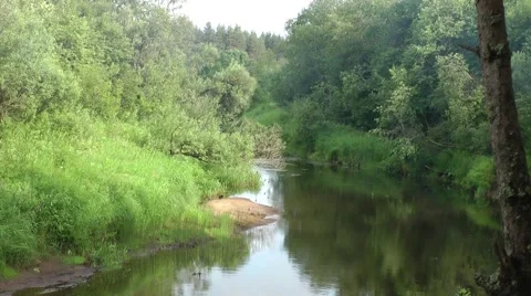 Forest River Stock Footage 51704888