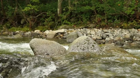 Forest river Stock Footage 55108995