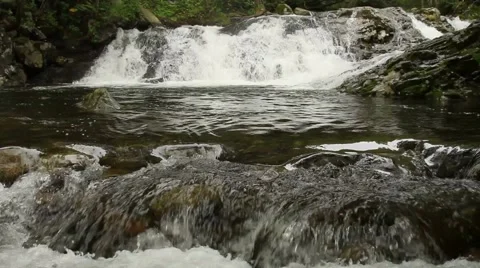 Forest river Stock Footage 55114865