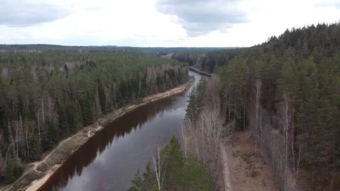 Forest with river Stock Footage 129367264