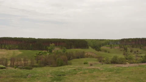 Forest river Stock Footage 146612875