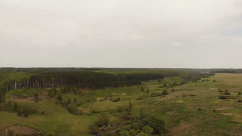 Forest river Stock Footage 146613582