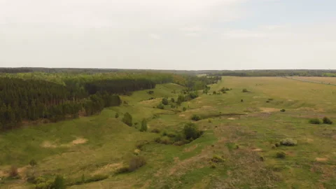 Forest river Stock Footage 146613684