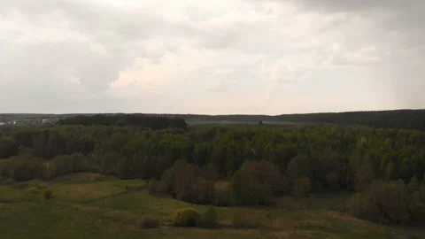 Forest river Stock Footage 146614440