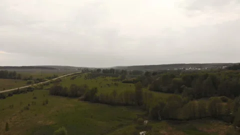 Forest river Stock Footage 146614548