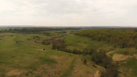 Forest river Stock Footage 146615214