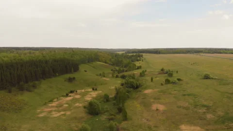 Forest river Stock Footage 146615268