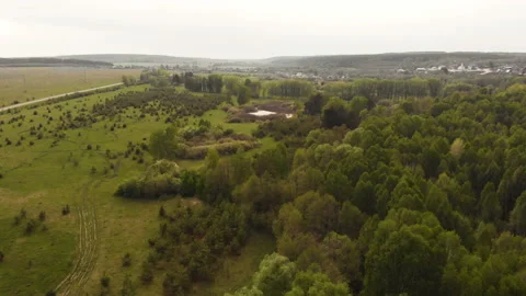 Forest river Stock Footage 146655159