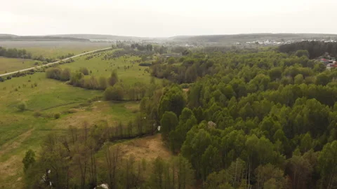 Forest river Stock Footage 146655229