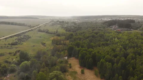 Forest river Stock Footage 146661038