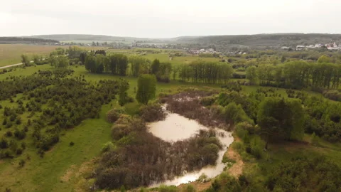 Forest river Stock Footage 146661157