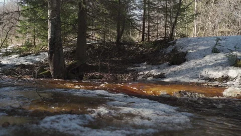 Forest river Stock Footage 152144081