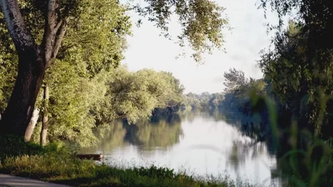 Forest &amp; River Stockbeeldmateriaal 273710345