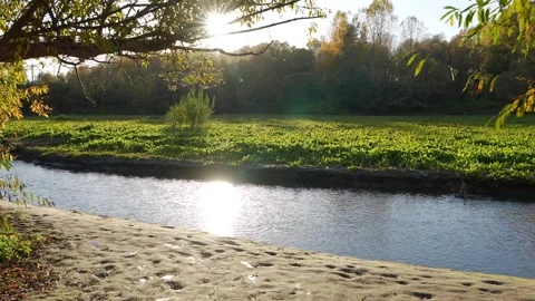 From the Forest to the River 库存影片 287128560