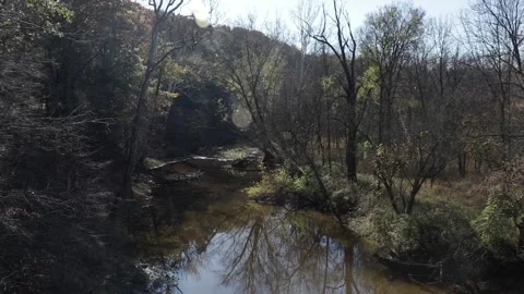 Forest River Stock Footage 297389426