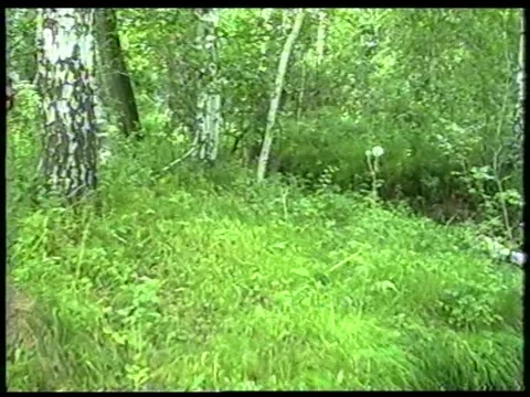 Forest River Stock Footage 340541265