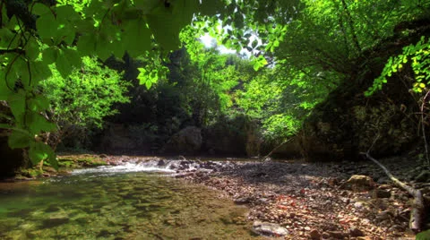 Forest River. HDR Time Lapse Shot Motorized Slider Stock Footage 26382217