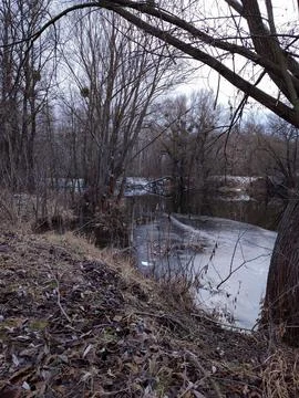 Forest river with ice Stock Photos
