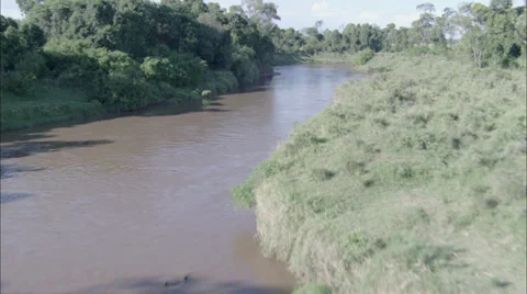 Forest River Jungle Trees Stock Footage 39924826