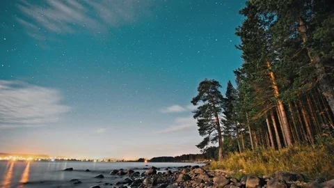 Forest river landscape Stock-Footage 89797013