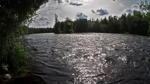 Forest river landscape. Karelia. Vidéo 83095261