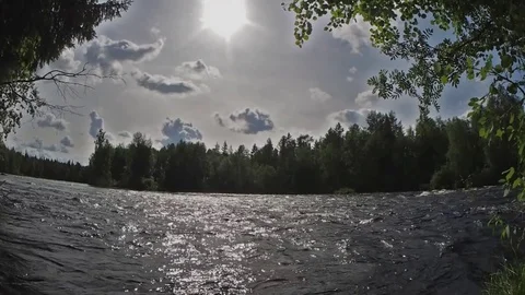 Forest river landscape. Karelia. Stock-Footage 83095270