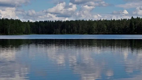 Forest river landscape. Karelia. Vidéo 83095277