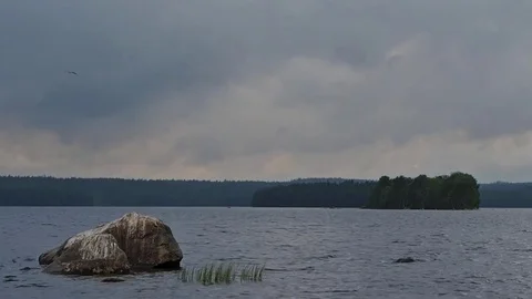 Forest river landscape. Karelia. Stock Footage 83095299