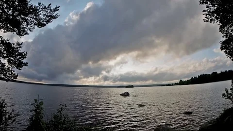 Forest river landscape. Karelia. Vidéo 83095329