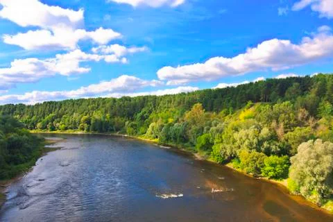 Forest river landscape Stock Photos