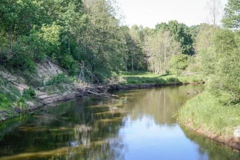 Forest river landscape Stock Photos