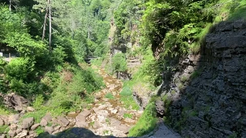Forest river in Les Cévennes Video stock 345360915