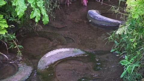 Forest river is littered with old rubber tires against background of green grass Stock Footage 247018079