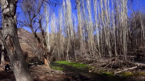 Of a forest river meandering through a jungle landscape, stock footage. Stock Footage 304784444