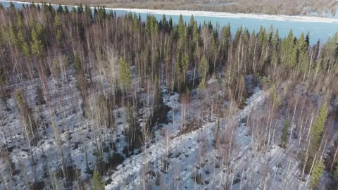 A forest with a river in the middle of it and snow on the ground and trees Stock Footage 195539664