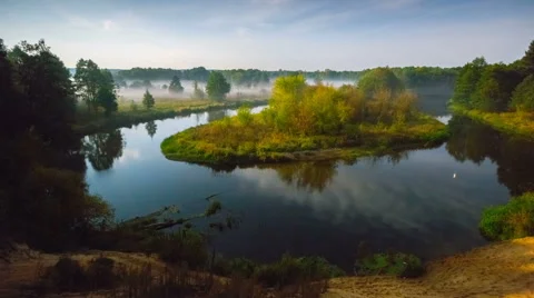 Forest river in moonlight Stock Footage 61403302