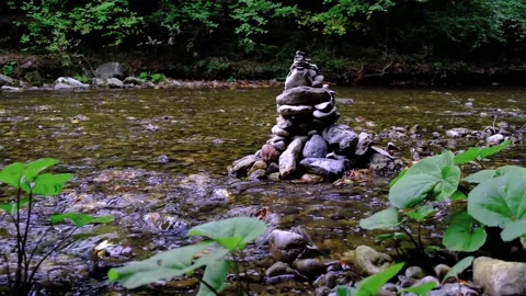 Forest river in the morning Stock Footage 138452728